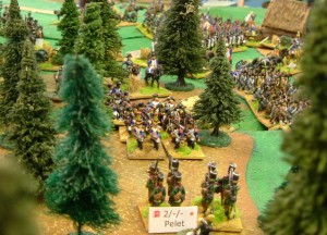 Ein kleiner Waldspaziergang 